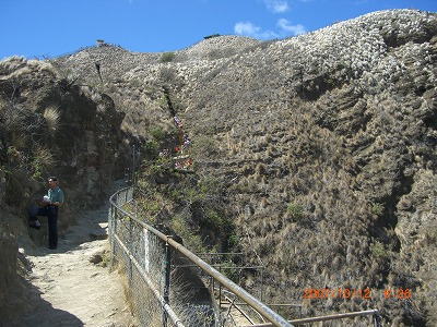 d0195419_1744730.jpg