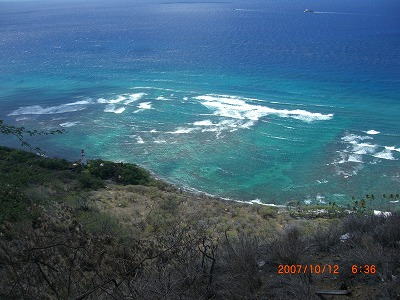 d0195419_1751569.jpg