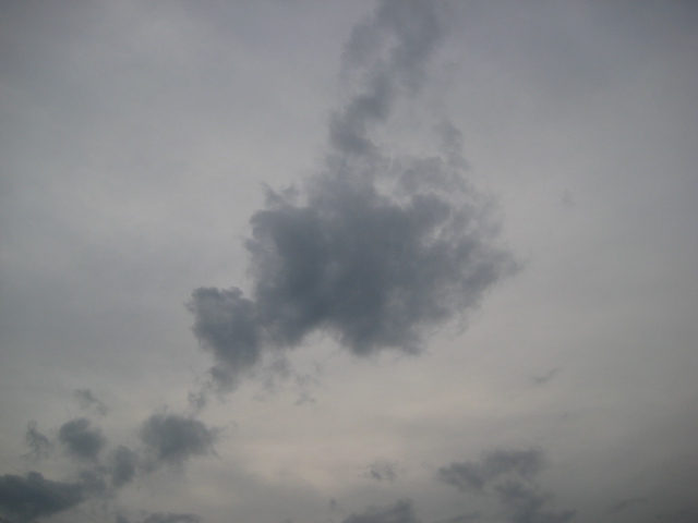 b0093221_22234946.jpg