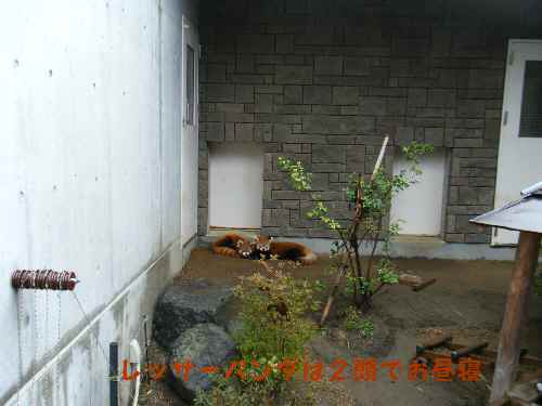 e0047322_21275416.jpg