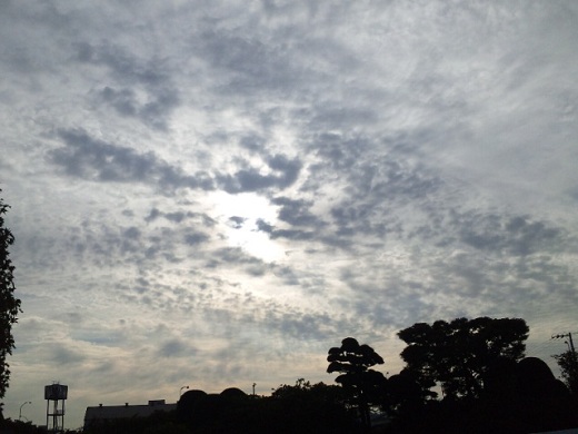 b0199924_15232659.jpg
