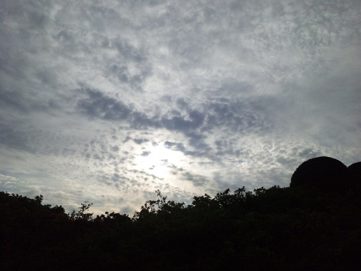 b0199924_15233690.jpg