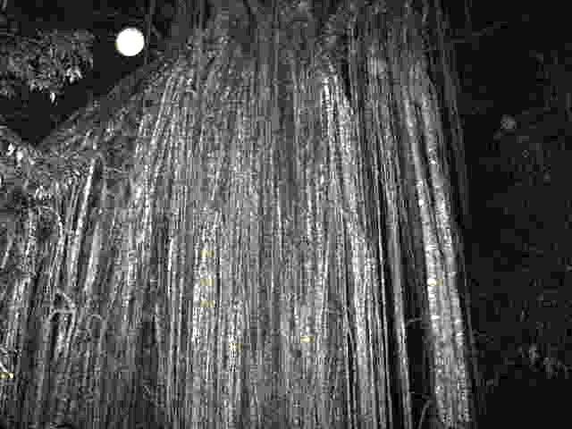 f0234427_014040.jpg