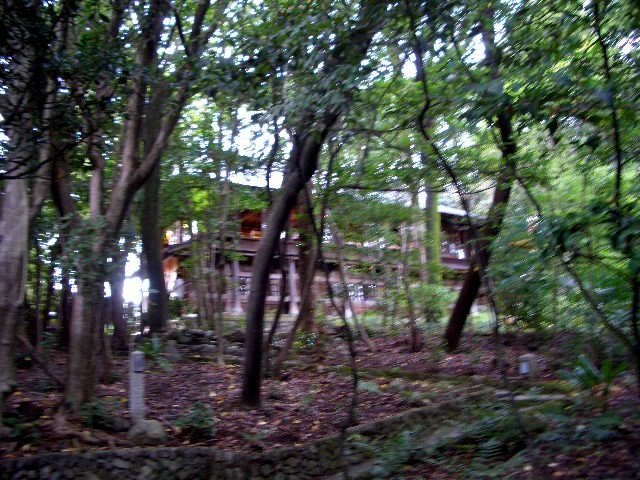 e0145328_1137731.jpg