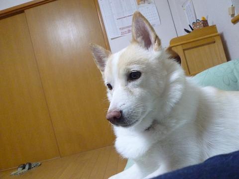 b0138430_14542938.jpg