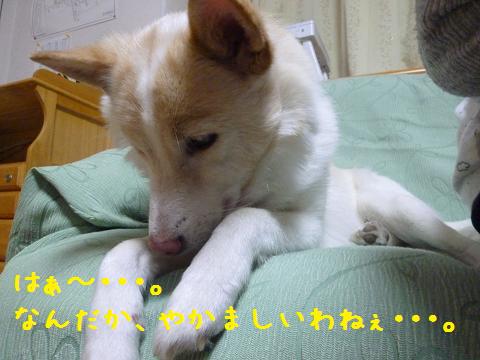 b0138430_14571726.jpg