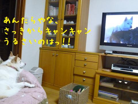 b0138430_1514621.jpg