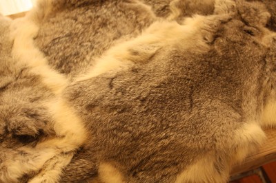 c0172830_14234012.jpg