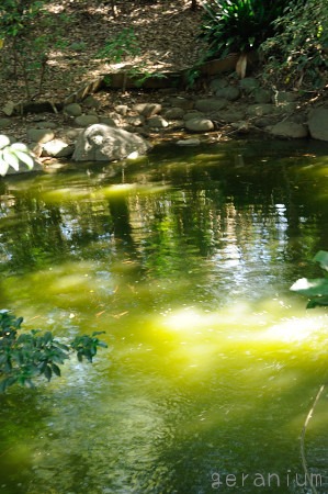 c0133533_1182623.jpg