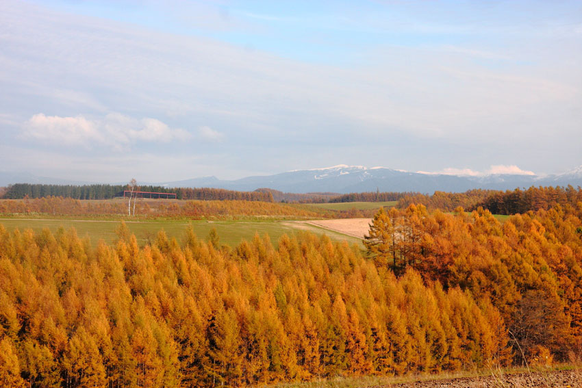 d0069235_18533016.jpg