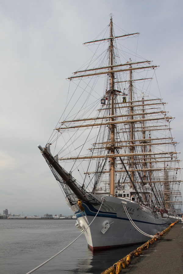 d0247340_1457165.jpg