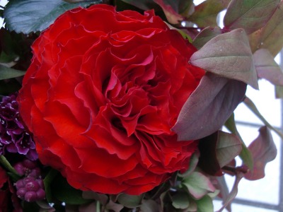 e0110940_855891.jpg