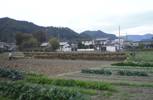 e0224842_1865540.jpg
