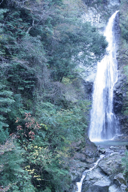 f0150047_203175.jpg