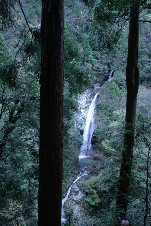 f0150047_207471.jpg