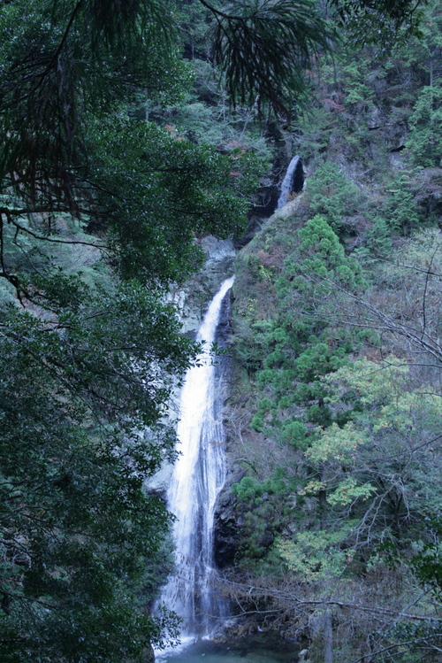 f0150047_2085330.jpg