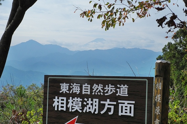 b0122448_2083992.jpg