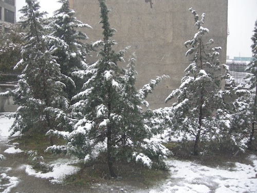 b0006449_3433664.jpg