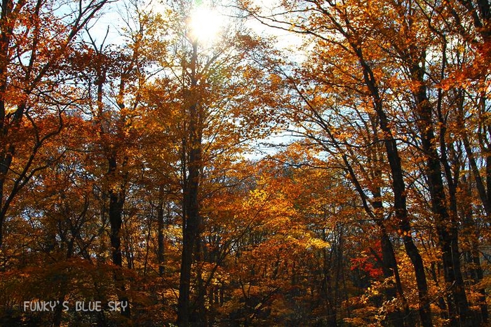 c0145250_2116258.jpg