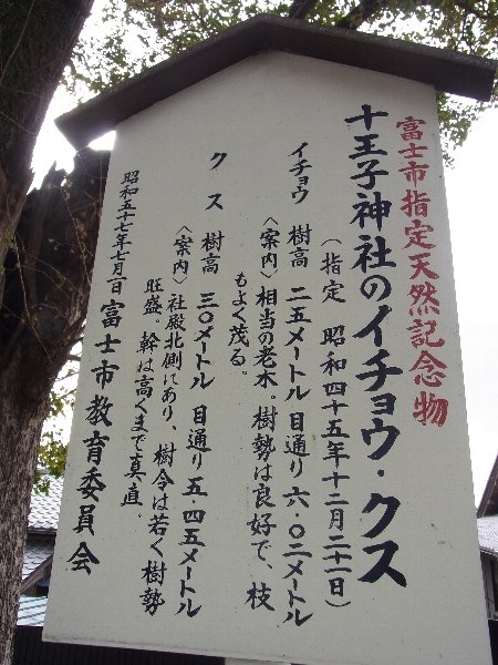 f0155954_112563.jpg