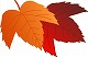 c0208355_1025745.jpg