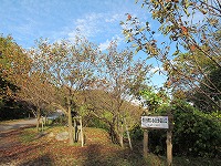 c0208355_9375729.jpg