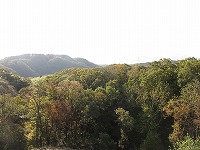 c0208355_9464960.jpg