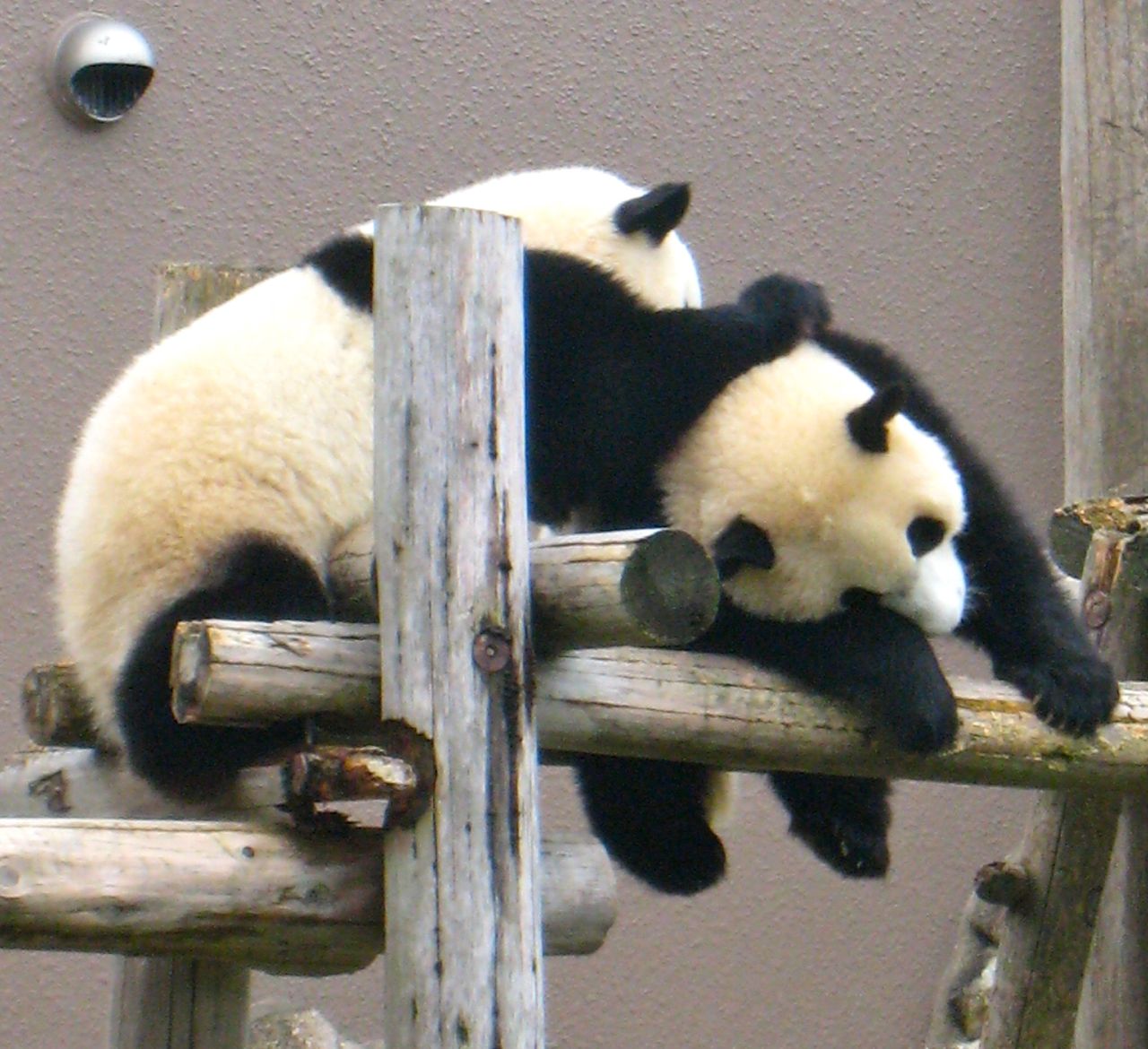 f0140257_2011199.jpg
