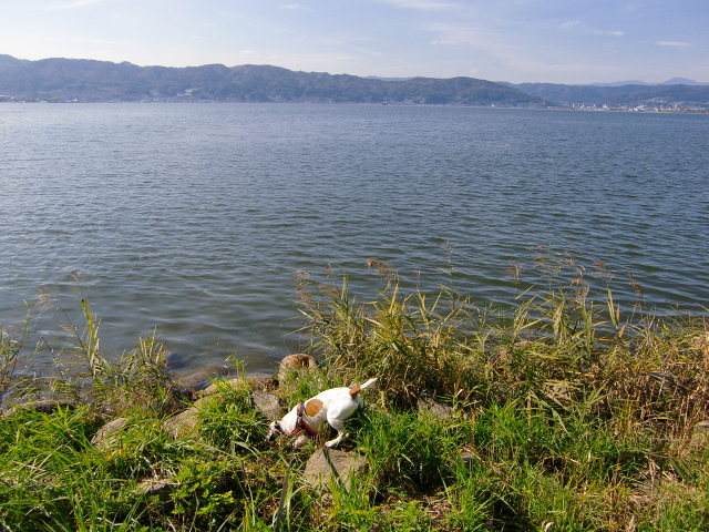 c0140260_1113038.jpg
