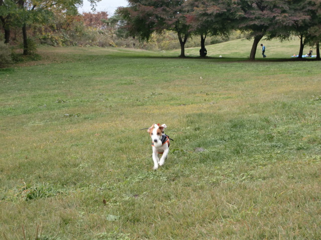 c0140260_1183446.jpg