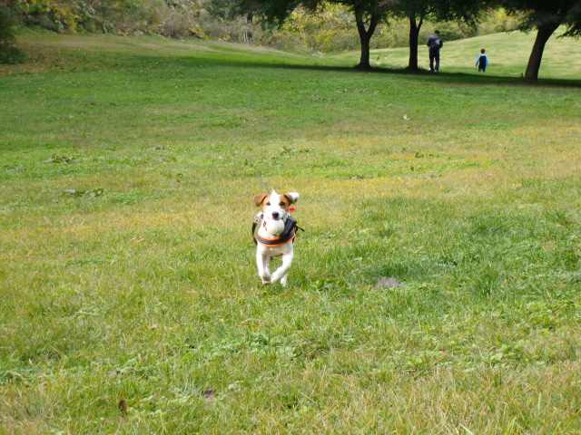 c0140260_119112.jpg