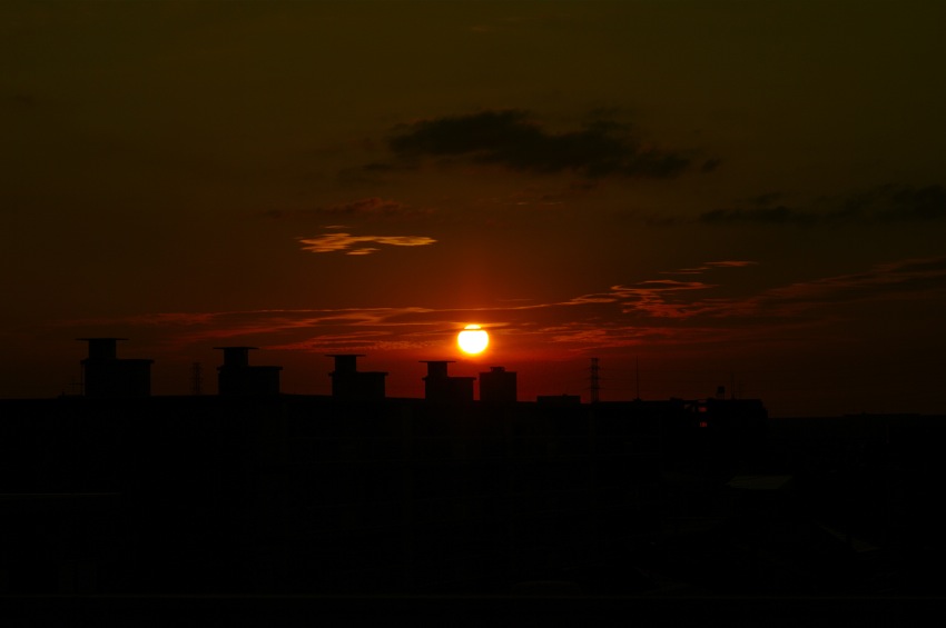 f0179061_10385127.jpg