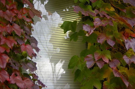 b0075364_21204533.jpg