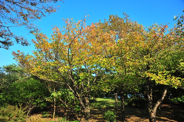 e0020166_1629315.jpg