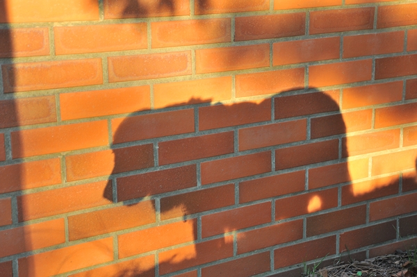 e0020166_1643050.jpg