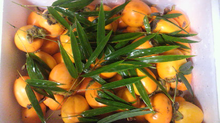 c0144868_2552114.jpg
