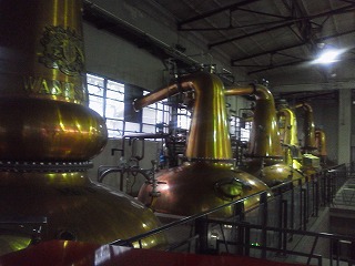 b0159173_227388.jpg