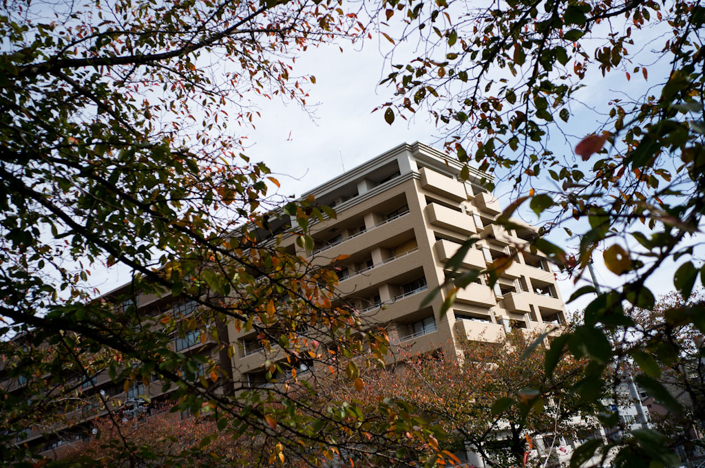 f0167977_14251951.jpg