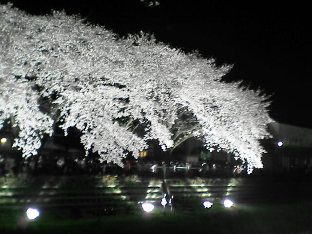 c0069380_1126963.jpg
