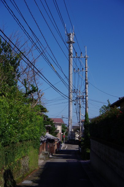 a0189883_0294197.jpg