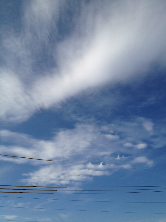 d0251583_1512432.jpg