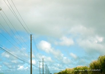 e0148185_16271640.jpg