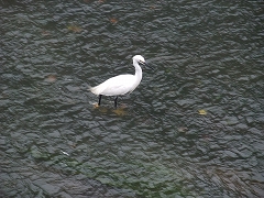 e0039787_1241271.jpg