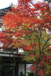 f0007587_15182113.jpg