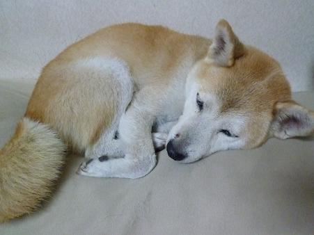 c0123890_22452510.jpg