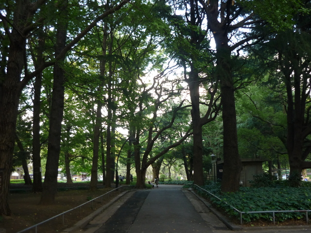 d0162995_19251444.jpg