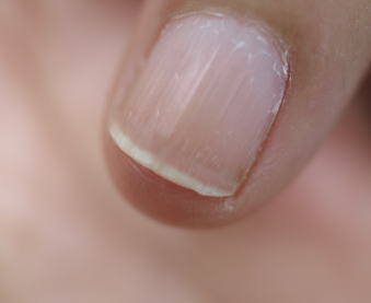 f0153497_1134311.jpg