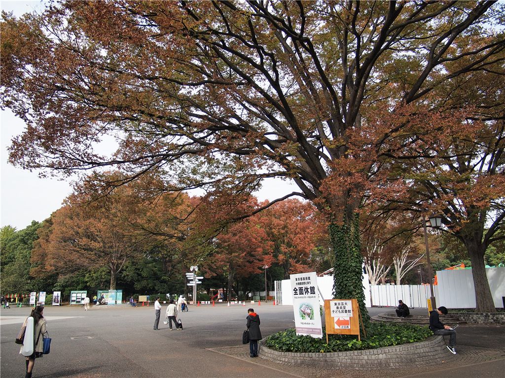 f0224100_22595946.jpg