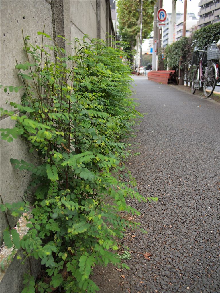 f0224100_233479.jpg