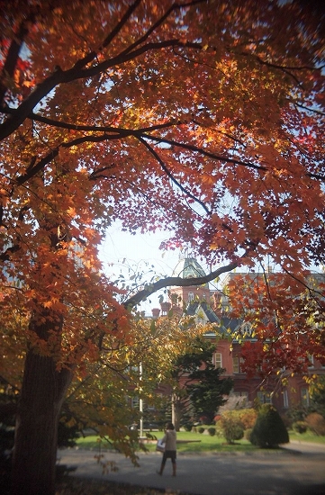 c0202705_19533577.jpg